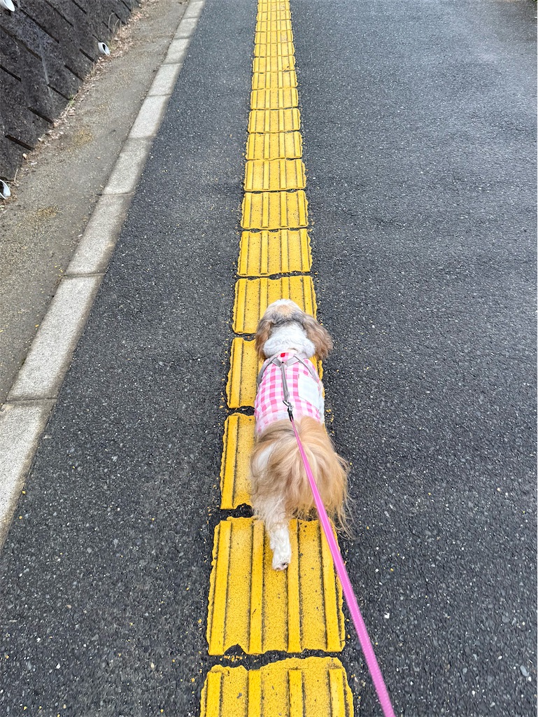 f:id:merry_saku:20260626212428j:image