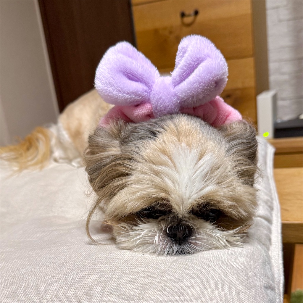f:id:merry_saku:20260704234137j:image