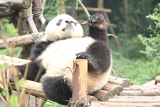 f:id:merrygo001:20190415232532j:plain