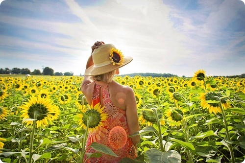 f:id:merrygo001:20190425015212j:plain