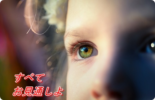 f:id:merrygo001:20190718101829j:plain f:id:merrygo001:20190718101829j:plain