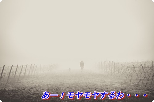 f:id:merrygo001:20190720050625j:plain f:id:merrygo001:20190720050625j:plain