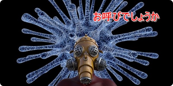 f:id:merrygo001:20200229204113j:plain f:id:merrygo001:20200229204113j:plain