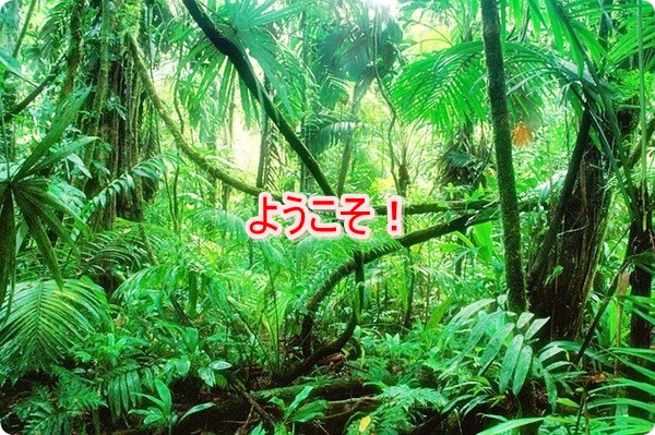 f:id:merrygo001:20200401021154j:plain f:id:merrygo001:20200401021154j:plain