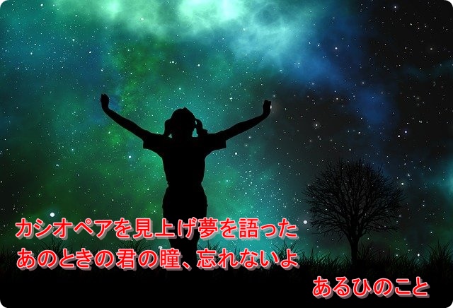 f:id:merrygo001:20210213055710j:plain