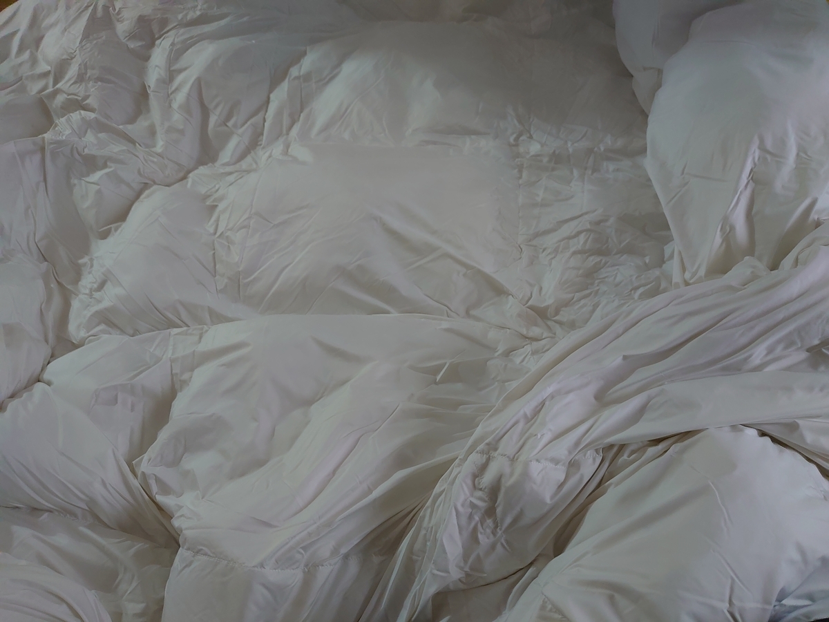 f:id:merrywhite:20200705232540j:plain f:id:merrywhite:20200705232540j:plain