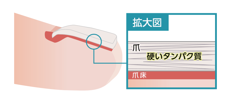 f:id:merrywhite:20201130081505p:plain