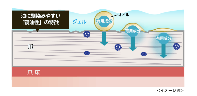 f:id:merrywhite:20201130081525p:plain