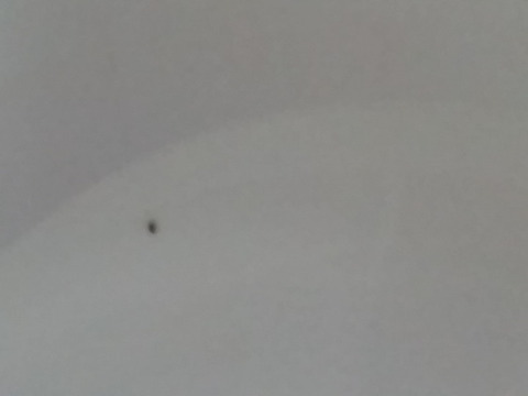 f:id:merrywhite:20210107055526j:plain