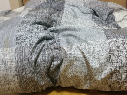 f:id:merrywhite:20210418162016j:plain