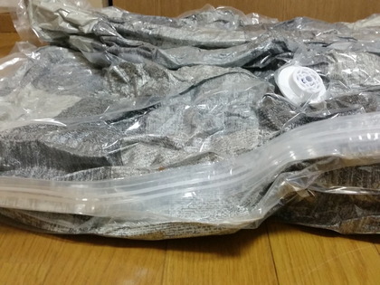 f:id:merrywhite:20210418162154j:plain