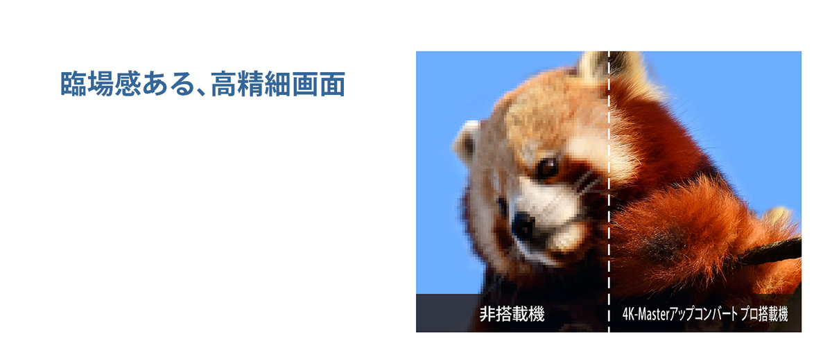 f:id:merrywhite:20210612174050j:plain