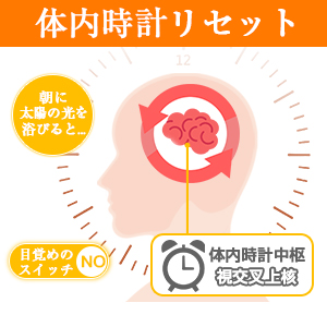 f:id:merrywhite:20210918074300j:plain