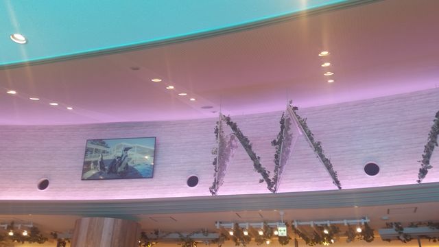 マリンワールドレストラン レイリー イルカを見ながら お酒も飲めて美味しいランチが楽しめる Itよろづや