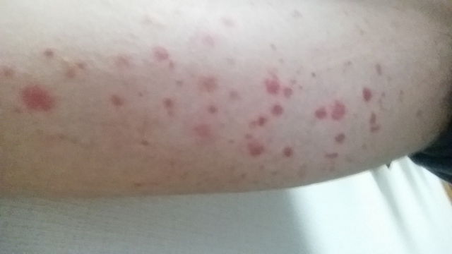 f:id:merrywhite:20211026072733j:plain