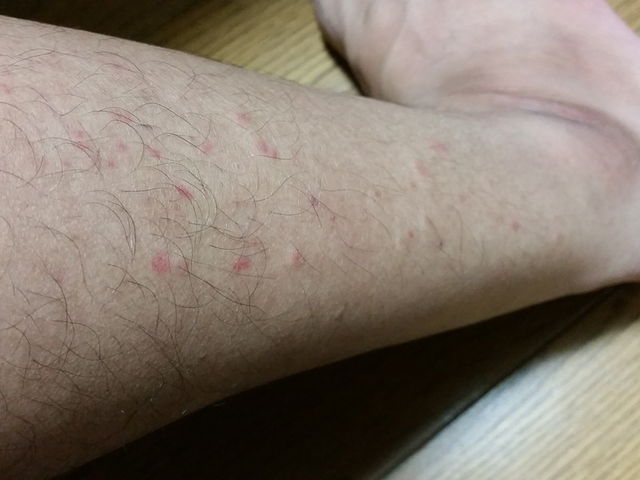 f:id:merrywhite:20211026072748j:plain