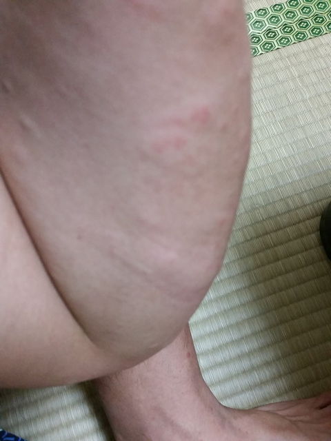 f:id:merrywhite:20211026072757j:plain