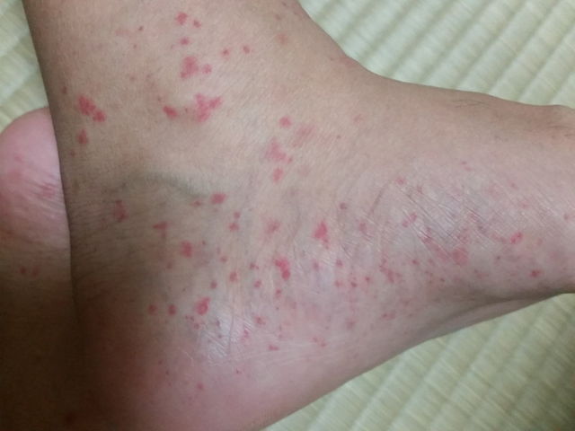 f:id:merrywhite:20211026072843j:plain