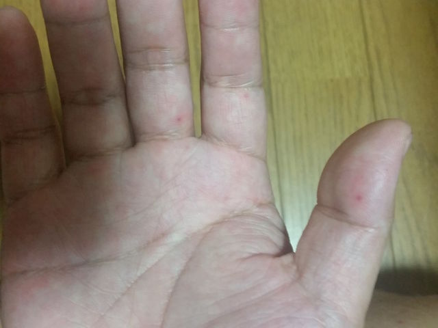 f:id:merrywhite:20211026072919j:plain