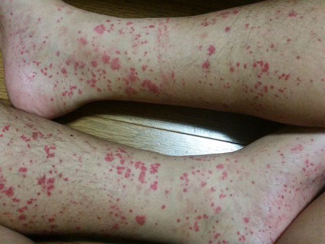 f:id:merrywhite:20211026072931j:plain