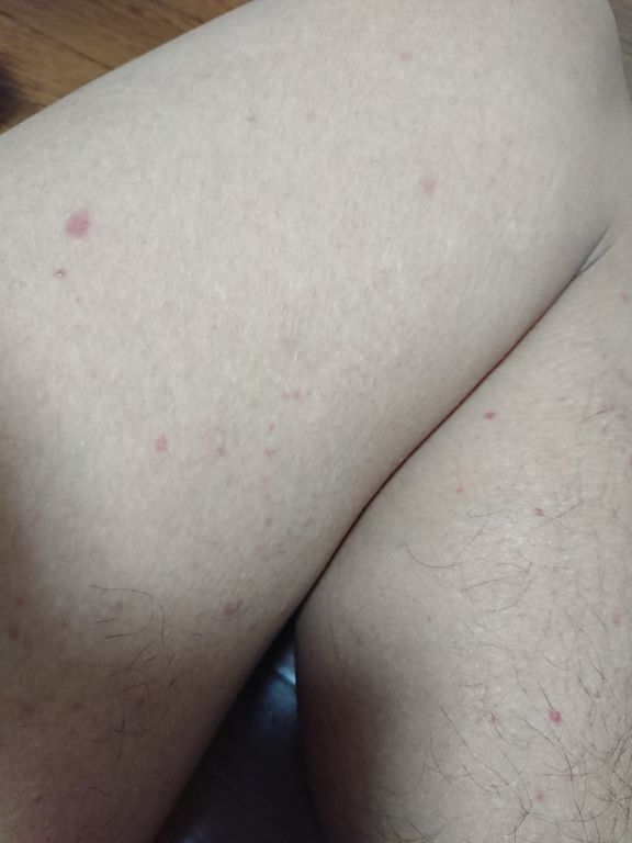 f:id:merrywhite:20211102071734j:plain