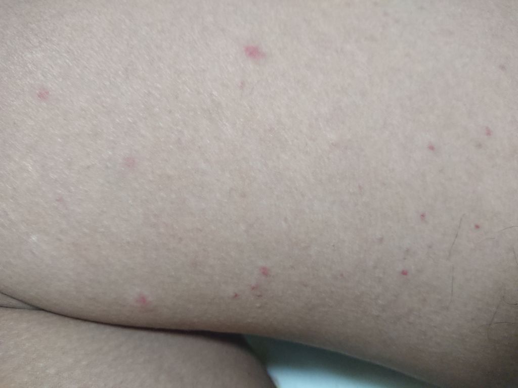 f:id:merrywhite:20211102071745j:plain