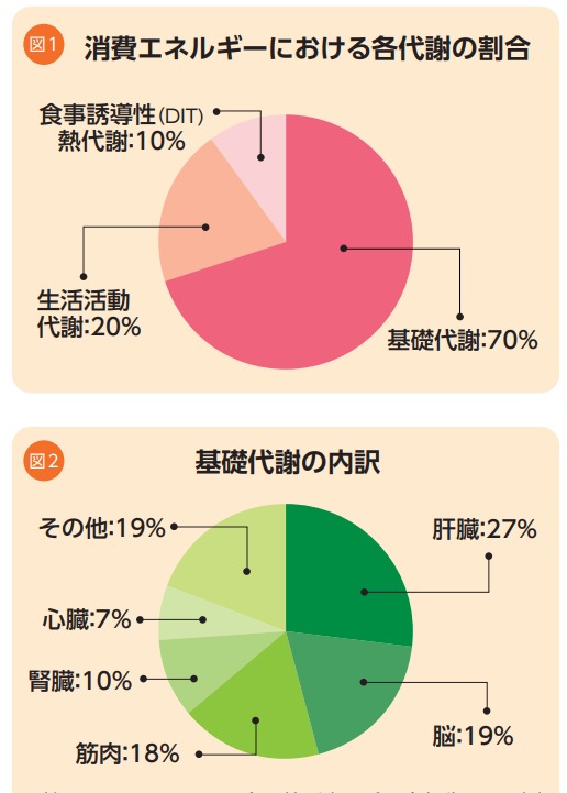 f:id:merrywhite:20220327225606j:plain