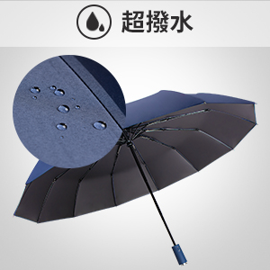 f:id:merrywhite:20220402100205j:plain