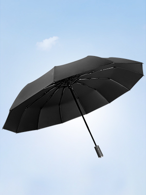 f:id:merrywhite:20220402100335j:plain