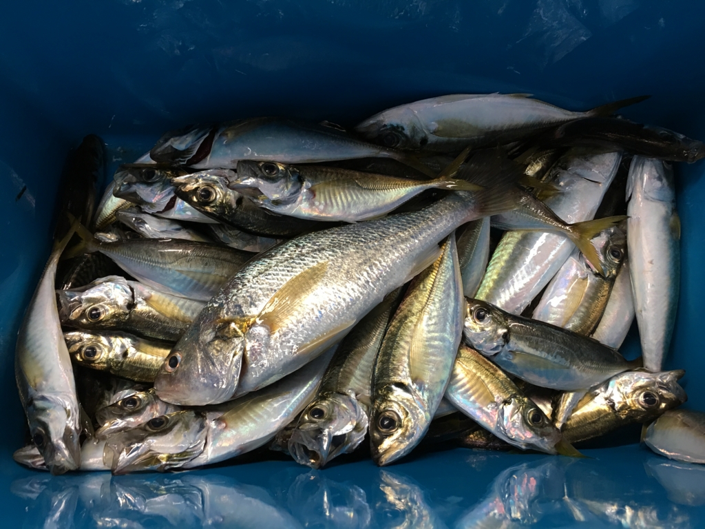 f:id:meru_200z:20161004193902j:plain