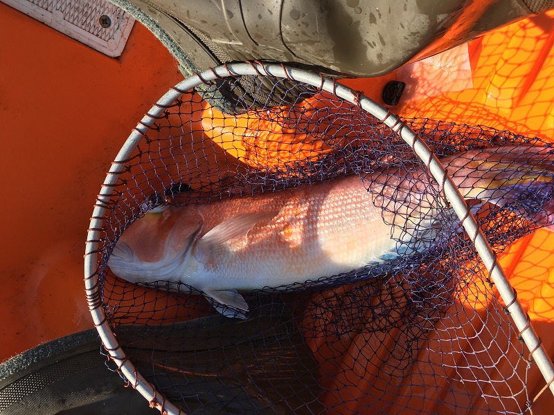 f:id:meru_200z:20170306130717j:plain