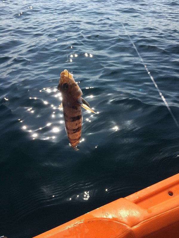 f:id:meru_200z:20170306131017j:plain