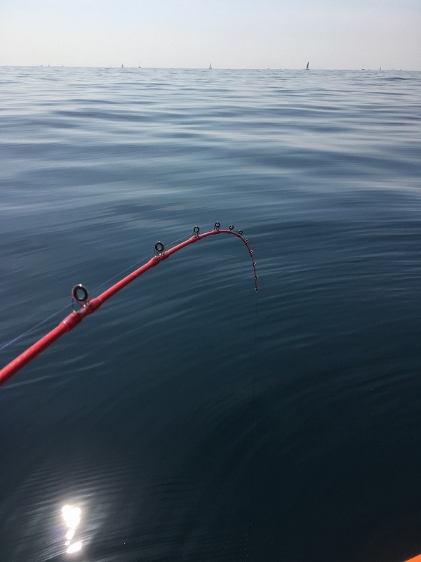 f:id:meru_200z:20170306131112j:plain