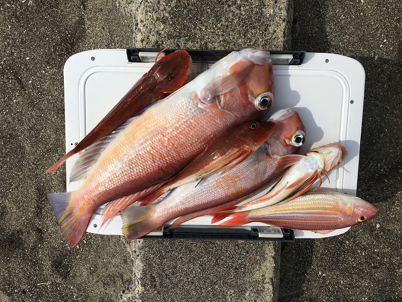 f:id:meru_200z:20170306131315j:plain