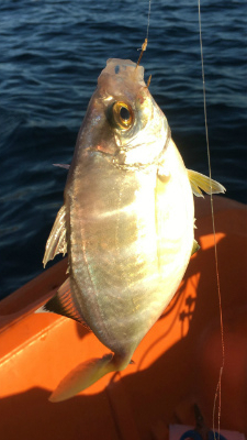 f:id:meru_200z:20180105132018j:plain