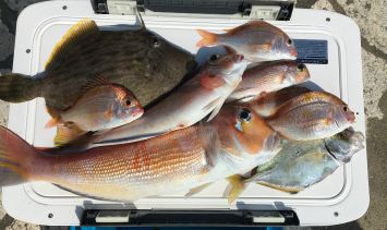 f:id:meru_200z:20180225214543j:plain