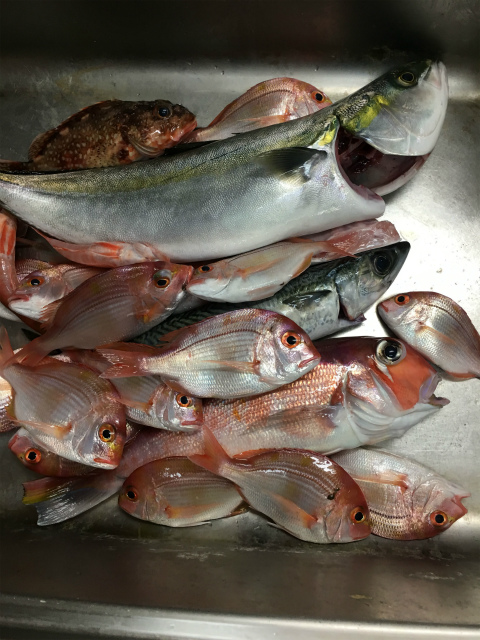 f:id:meru_200z:20180610233214j:plain