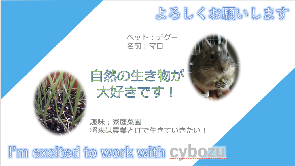 インターン初日に発表した自己紹介スライド