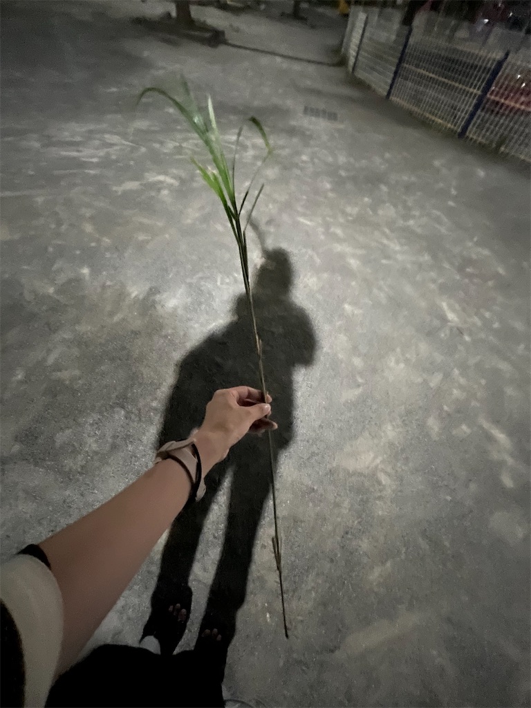 f:id:meruhenn:20230729002920j:image