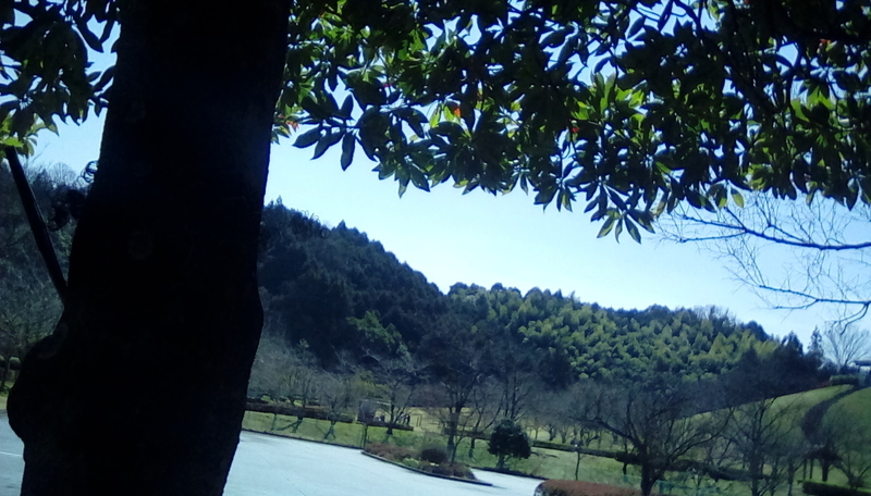 f:id:merumeruxxxx:20200316101308j:image