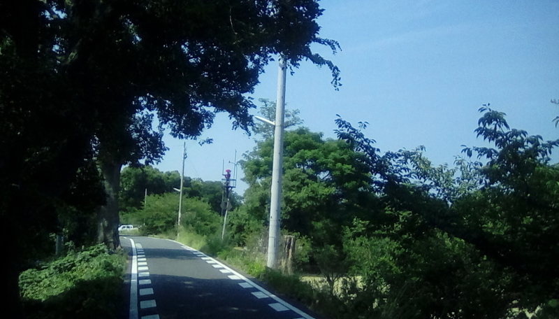 f:id:merumeruxxxx:20200820131943j:image