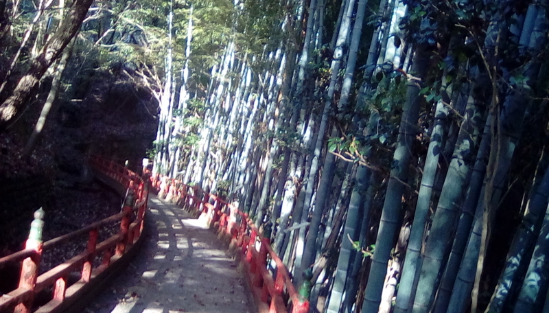 f:id:merumeruxxxx:20201208133346j:image