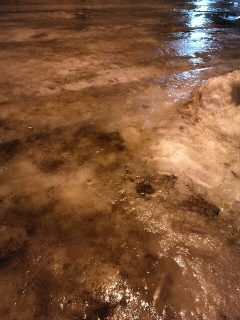 f:id:merurin:20170216235536j:image