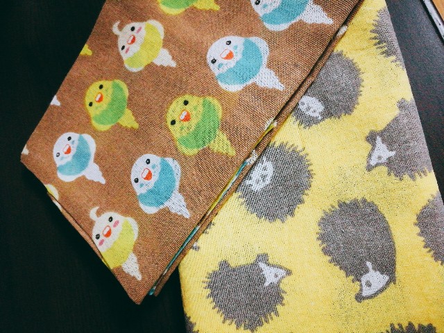 f:id:merurin:20170222233950j:image