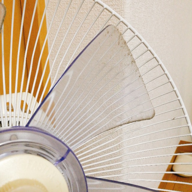 f:id:merurin:20171017175840j:image