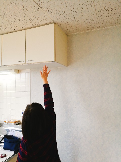 f:id:merurin:20171115185830j:image f:id:merurin:20171115185830j:image