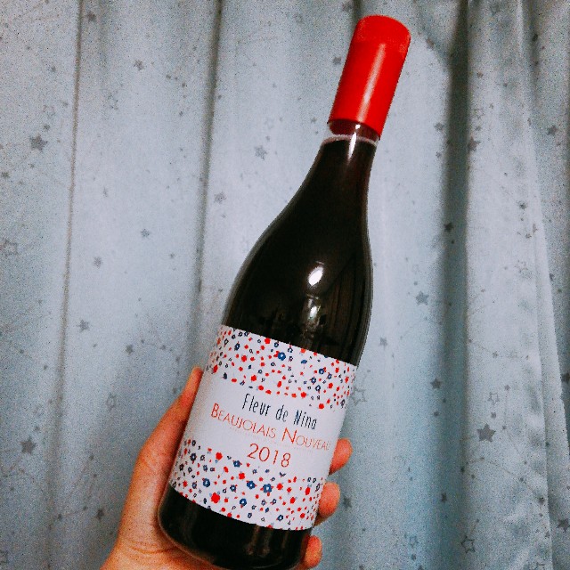 f:id:merurin:20181115211231j:image