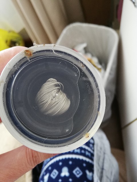 f:id:merurin:20190323124305j:image