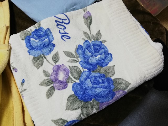 f:id:merurin:20190409183207j:image