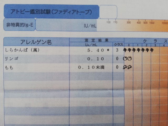 f:id:merurin:20190513230122j:image